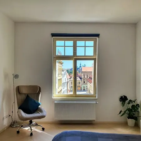 Spacious Luxury In The Center * Пльзень