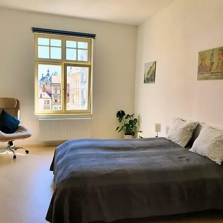 Spacious Luxury In The Center Апартаменты Пльзень